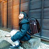 ��¼ ������