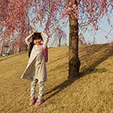 ���� ����