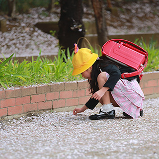 ���� ����