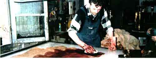 ŷ����ʪ������˥�ˤ�������