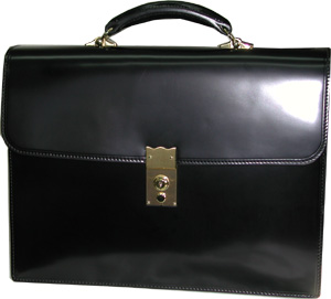 ��969-10�ۥ����ɥХ�ӥ��ͥ�